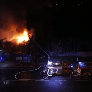 image-87-300x300 image-87-300x300