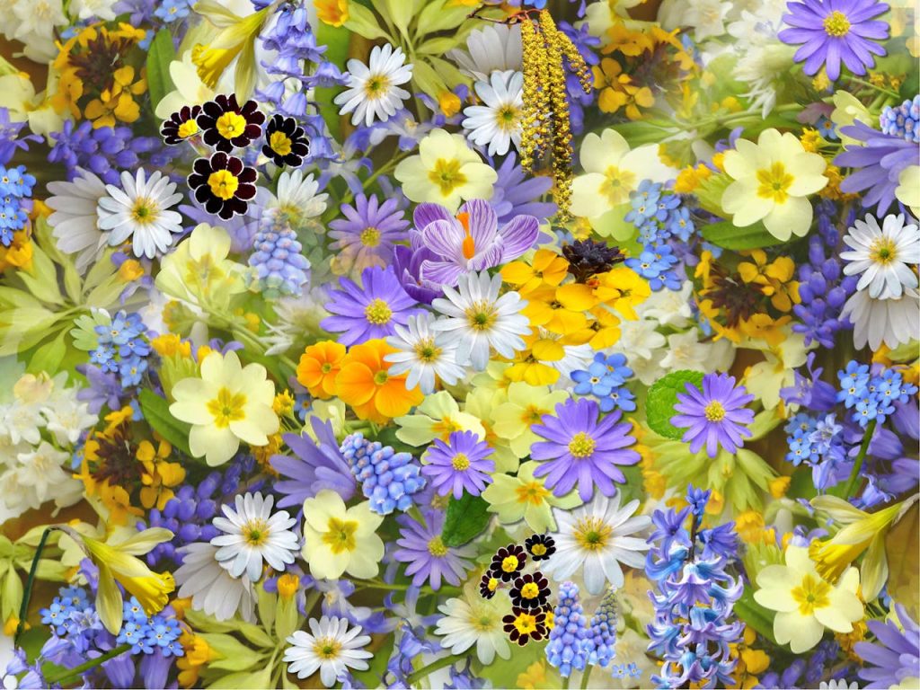 Flower-Pick-Up-Lines-1-1024x768 Flower-Pick-Up-Lines-1-1024x768