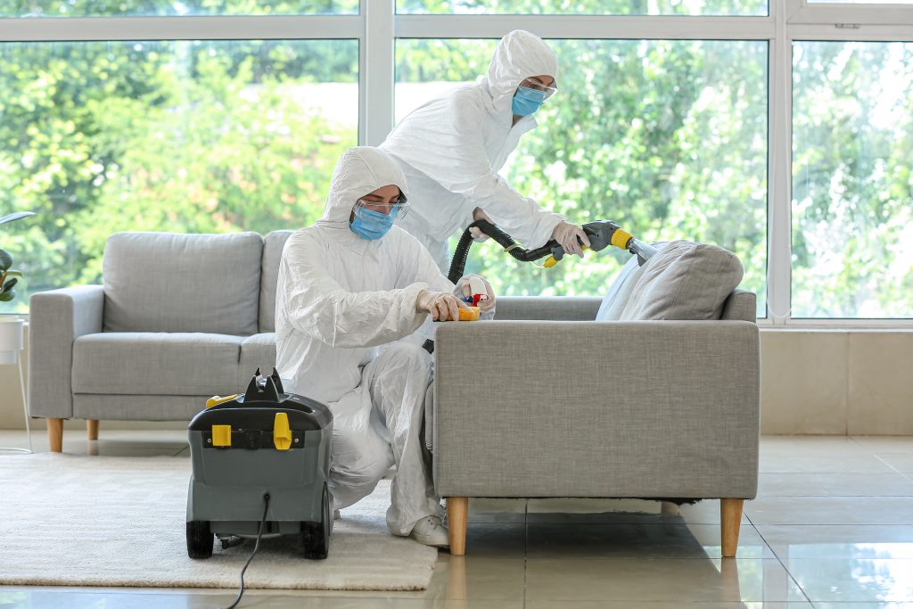 cleanup-specialists-1024x683 cleanup-specialists-1024x683