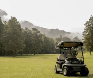Reliable Mobile Golf Cart Repair in Austin – Fast & Convenient Service