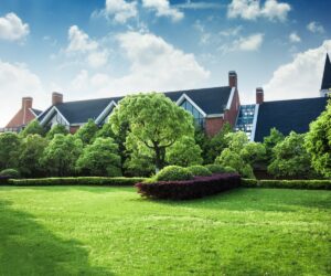 Long Island Backyard Transformations: From Standard Yards to Coastal Retreats