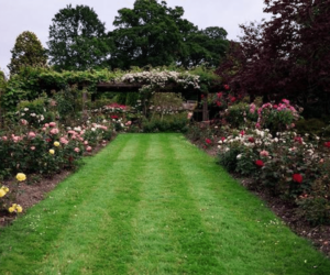 Landscaping and Gardening Ideas You’ll Want to Steal for Your Backyard