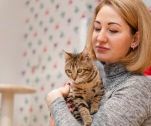 Top 10 Hacks Every Cat Owner Needs for a Cleaner, Fresher Home