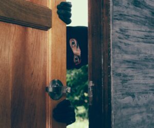 12 Famous Thieves Who Shocked the World