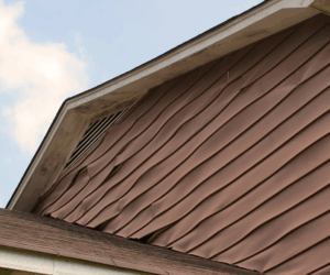 Why Choose Vinyl Siding for Your Home in Winter?