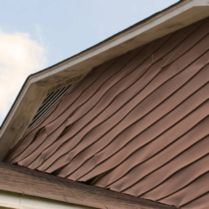 image-1-300x300 image-1-300x300