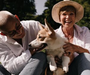 How Pet Owners Keep Their Homes Fresh, Clean, and Comfortable Without That Pet Smell