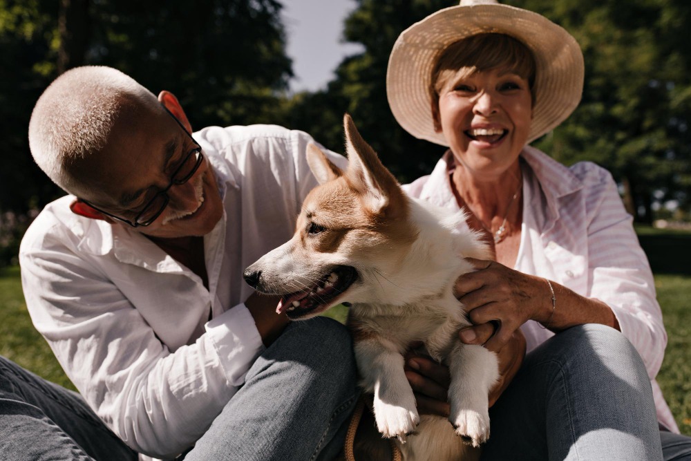 Pet-Owners