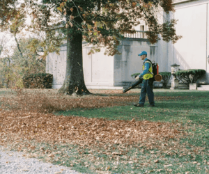 How to Choose the Right Tools for a Property Maintenance Business